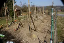 Weingarten.webp