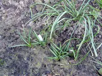 2011 03 16 003.webp
