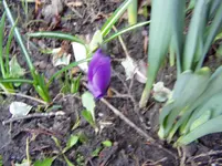 2011 03 16 010.webp