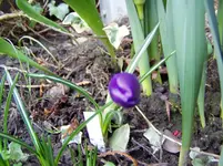 2011 03 16 011.webp