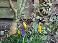 2011 03 16 012.webp