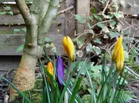 2011 03 16 013.webp