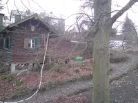 146.webp