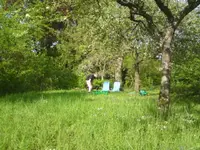 239.webp