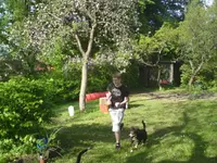 236.webp