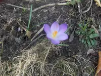 HPIM6202.webp