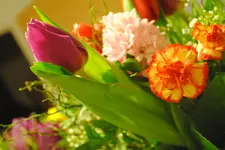 DSC_1230.webp