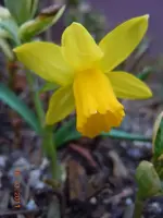 023.webp