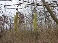 P1040340.webp