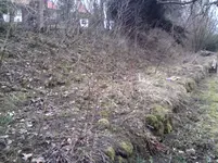402.webp