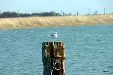 P1000977-1.webp