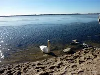 P1040311-1.webp
