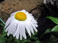 Copy of IMG_1749v.webp