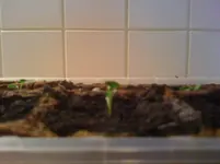 Foto1.webp Foto1.webp