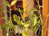 märz 2011 034.webp