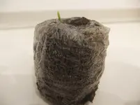 DSCF2296.webp