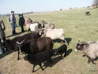 0404_Eltern_Höhe23_PICT9417.webp