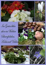 collage Kopiekl.webp