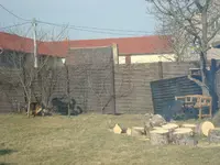 märz 2011 027.webp