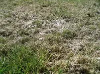 IMGP2698.webp