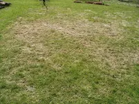 IMGP2699.webp