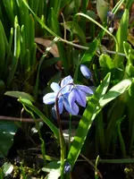 P1040034.webp