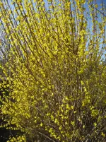 IMG_4072.webp
