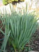 IMG_4085.webp