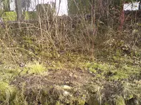011.webp