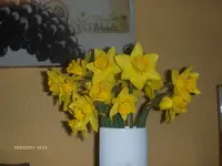 HPIM6217.webp