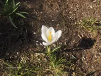 HPIM6225.webp