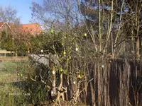 HPIM6227.webp