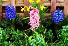 30.03 (52) - Kopie.webp