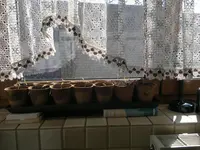 20032011068.webp