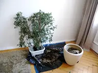 P1010757.webp