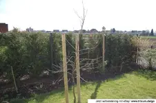 Z5JCxhzGQdPL130062485148S.webp