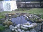 Teich 20.03.2011.jpg