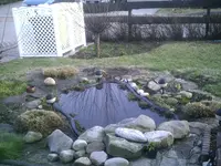 Teich 20.03.2011.webp