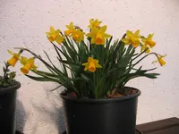 IMG_1334.webp