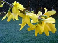 CIMG6289.webp