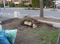 2011 03 19 010.webp