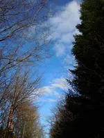 113.webp