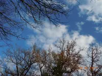 114.webp
