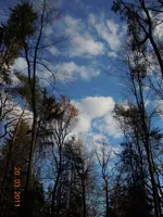 123.webp