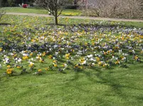 IMG_4102.webp