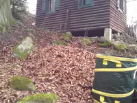 001.webp