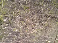 002.webp
