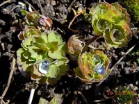044.webp