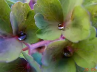 034.webp