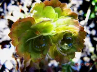 045.webp